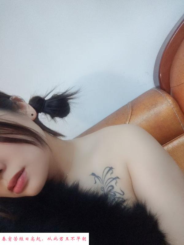德州双凤 第1张