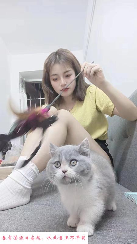 黑丝美腿小可爱 第3张