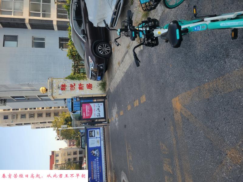 河东龙女 第1张