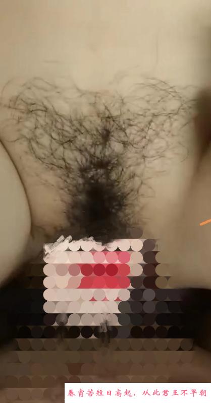 服务型雪儿回来了 第1张