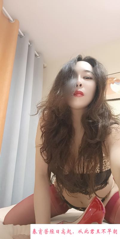 南稍门风骚柔情 第4张
