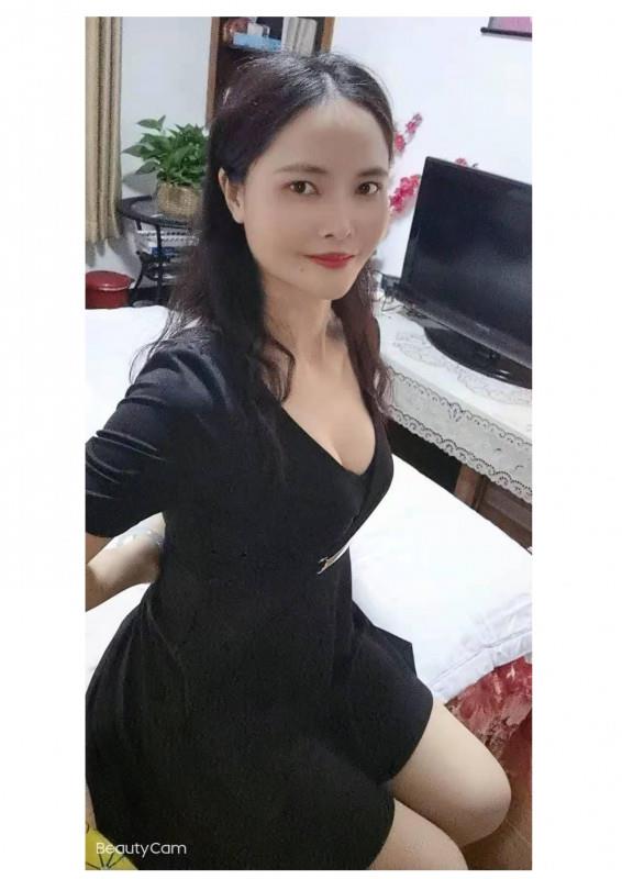 上海红玫瑰 第1张